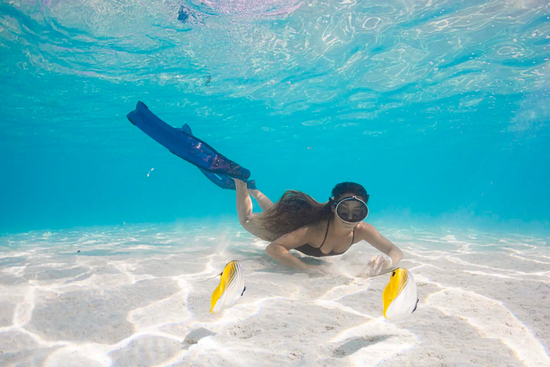 underwater photo session moorea